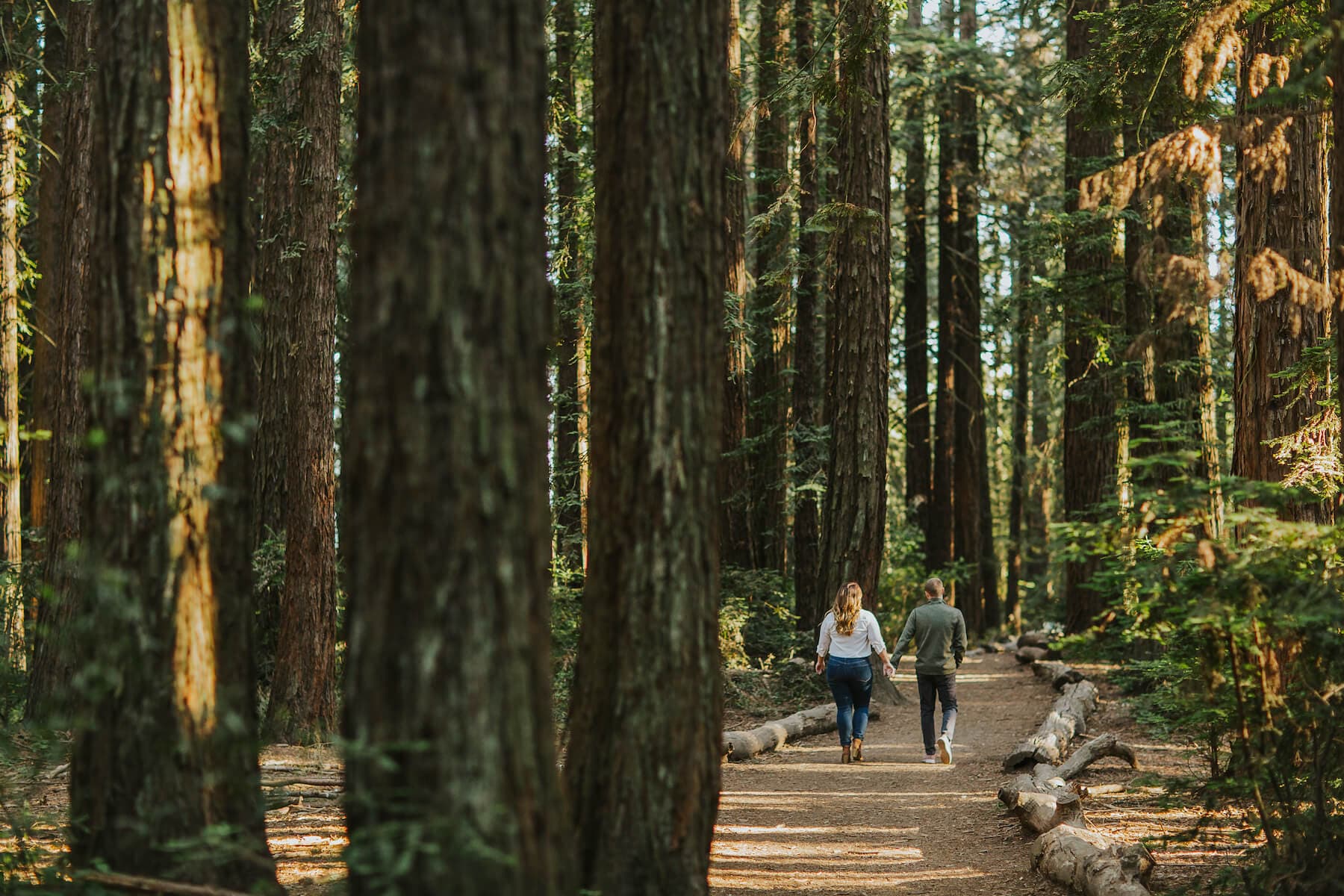 Heather and Glen walking away from the camera along a dirt trail in a redwood forest