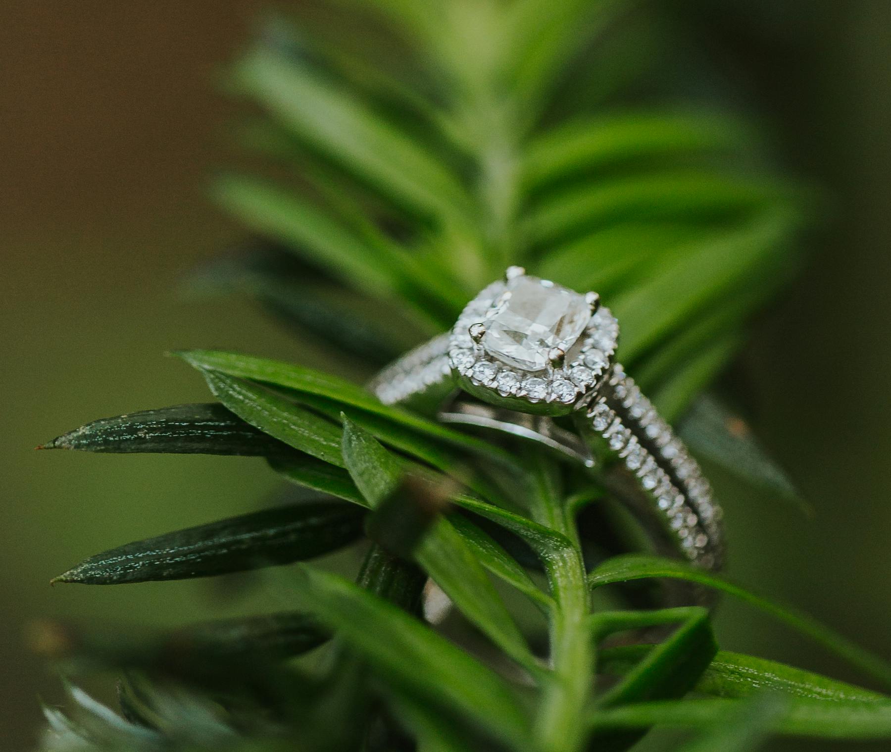 Heather's engagement ring resting on a vine